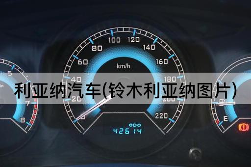 利亚纳汽车(铃木利亚纳图片)