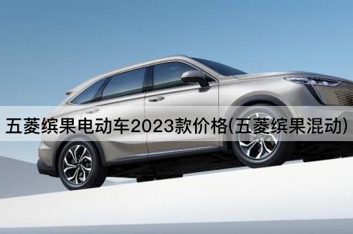 五菱缤果电动车2023款价格(五菱缤果混动)