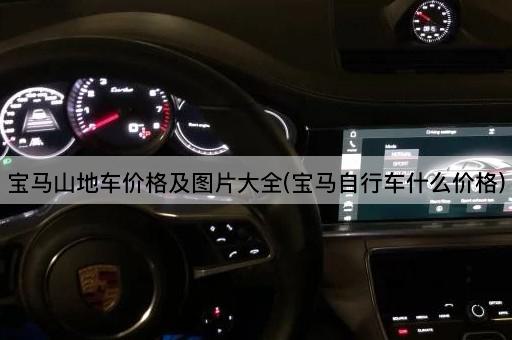 宝马山地车价格及图片大全(宝马自行车什么价格)