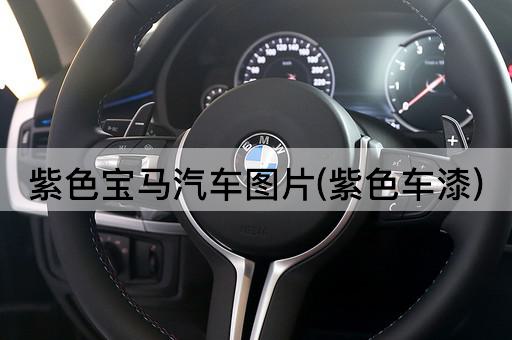 紫色宝马汽车图片(紫色车漆)