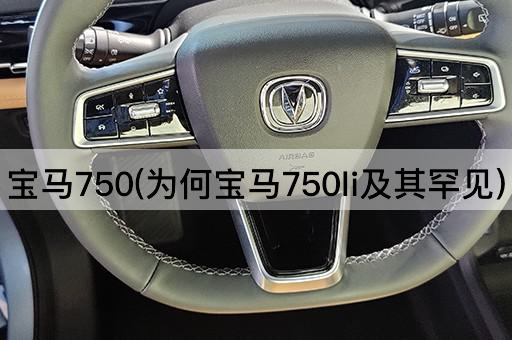 宝马750(为何宝马750li及其罕见)