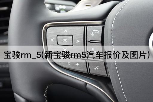 宝骏rm_5(新宝骏rm5汽车报价及图片)