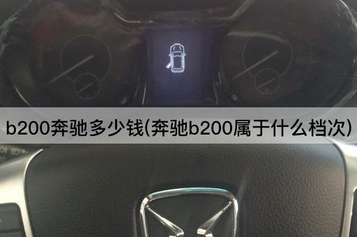 b200奔驰多少钱(奔驰b200属于什么档次)