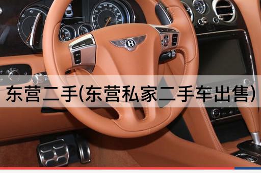 东营二手(东营私家二手车出售)