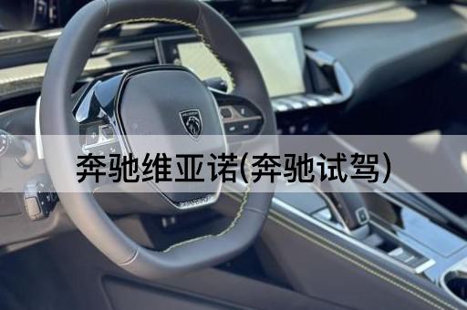 奔驰维亚诺(奔驰试驾)