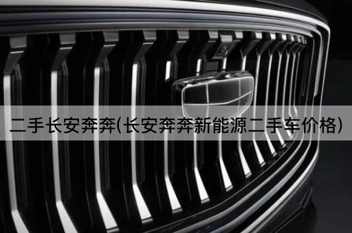 二手长安奔奔(长安奔奔新能源二手车价格)