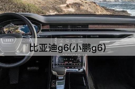 比亚迪g6(小鹏g6)