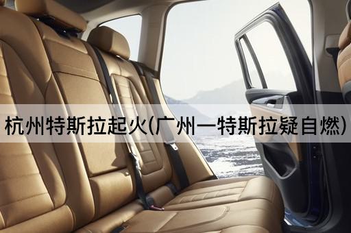 杭州特斯拉起火(广州一特斯拉疑自燃)