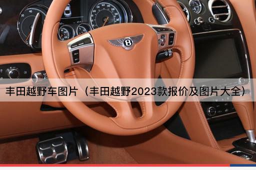 丰田越野车图片（丰田越野2023款报价及图片大全）