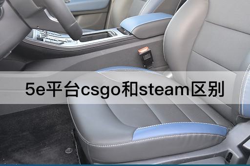 5e平台csgo和steam区别