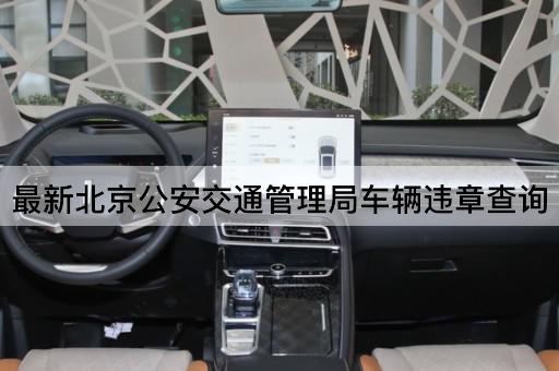 最新*公安交通管理局车辆违章查询