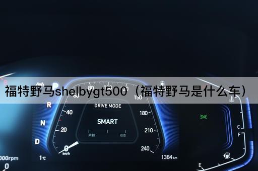 福特野马shelbygt500（福特野马是什么车）