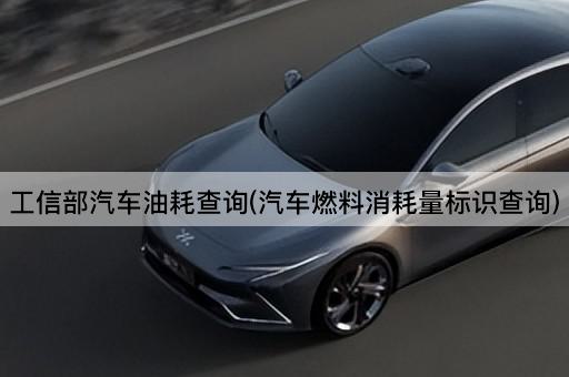 工信部汽车油耗查询(汽车燃料消耗量标识查询)