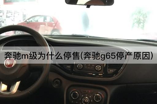 奔驰m级为什么停售(奔驰g65停产原因)