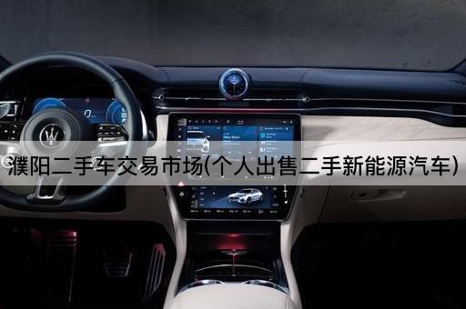 濮阳二手车交易市场(个人出售二手新能源汽车)