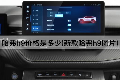 哈弗h9价格是多少(新款哈弗h9图片)