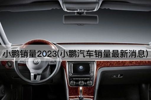 小鹏销量2023(小鹏汽车销量最新消息)