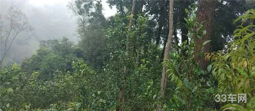 凌志车属于什么档次(凌志车价格及图片)