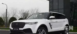 尺码最大的国产suv(日产淑女)
